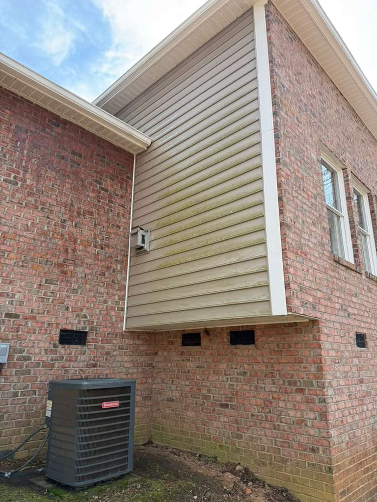 Siding before, with algae
